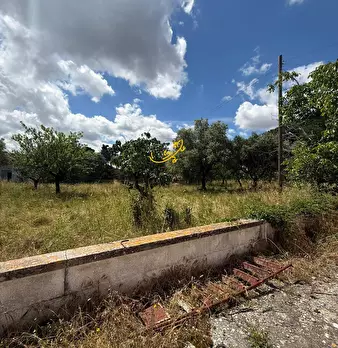 Foto annuncio 32