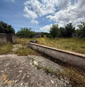 Foto annuncio 33