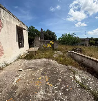 Foto annuncio 35