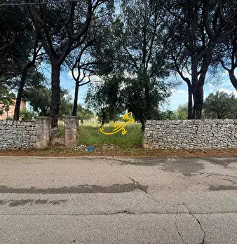 Foto annuncio 16