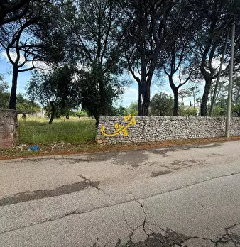 Foto annuncio 18