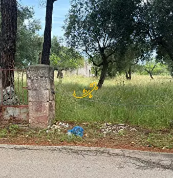 Foto annuncio 14