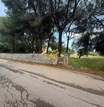Foto annuncio 15