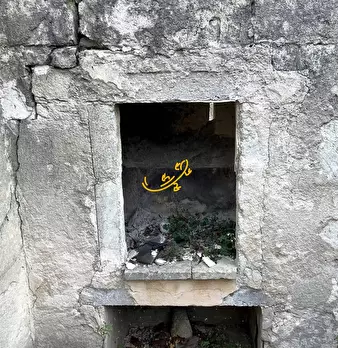 Foto annuncio 36