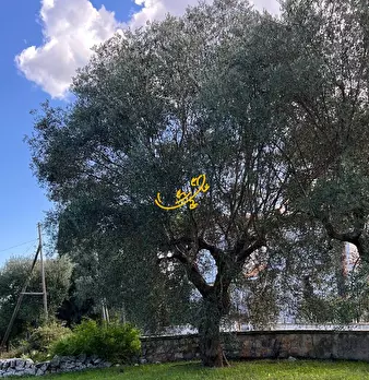 Foto annuncio 20
