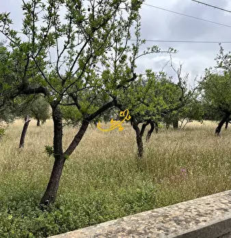 Foto annuncio 37