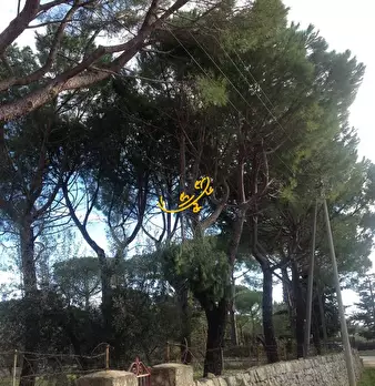 Foto annuncio 17