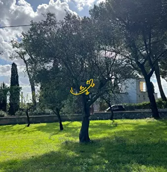 Foto annuncio 6