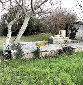 Foto annuncio 13