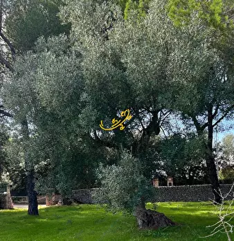 Foto annuncio 19