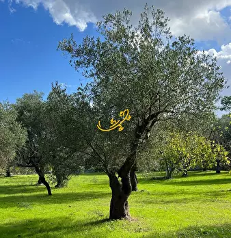Foto annuncio 7