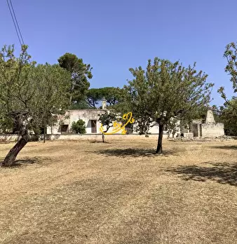 Foto annuncio 3