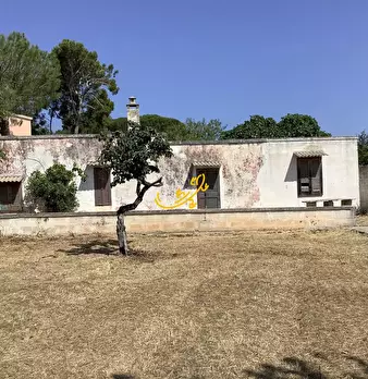 Foto annuncio 1