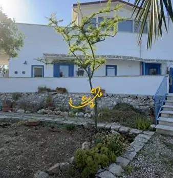 Foto annuncio 1
