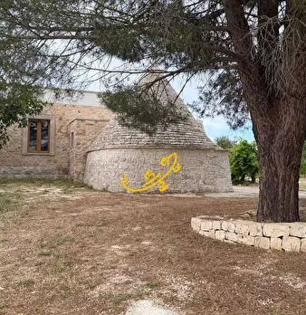 Foto annuncio 6