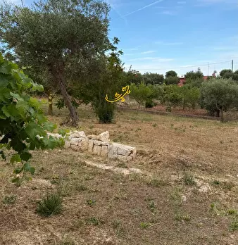 Foto annuncio 25