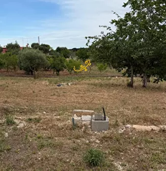 Foto annuncio 29
