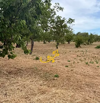 Foto annuncio 28