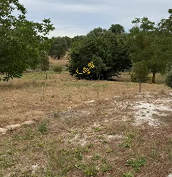 Foto annuncio 26