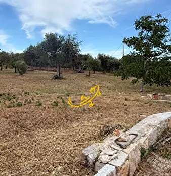 Foto annuncio 27