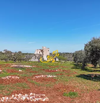 Foto annuncio 12