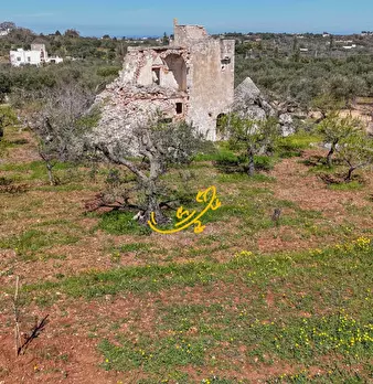 Foto annuncio 16
