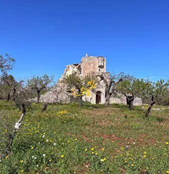 Foto annuncio 18