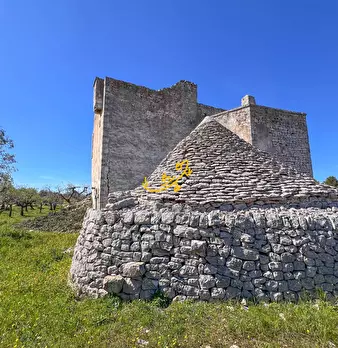 Foto annuncio 23