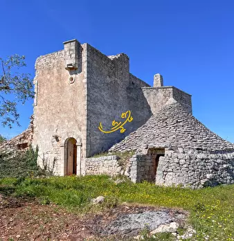 Foto annuncio 24