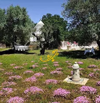 Foto annuncio 10