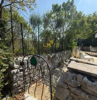 Foto annuncio 24