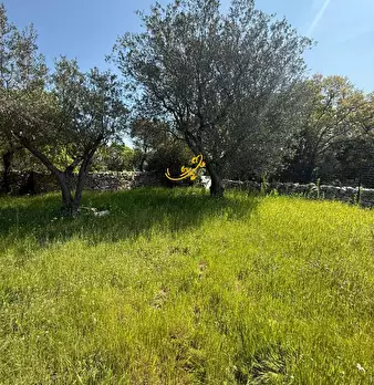 Foto annuncio 28