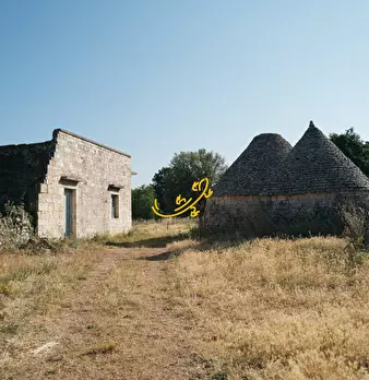 Foto annuncio 6