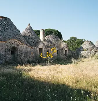 Foto annuncio 10