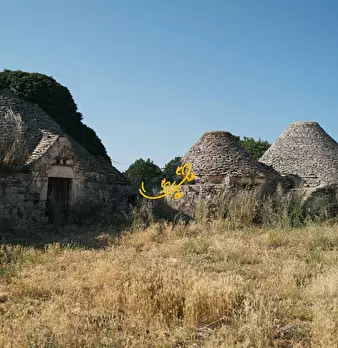 Foto annuncio 11