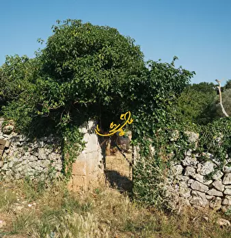 Foto annuncio 16