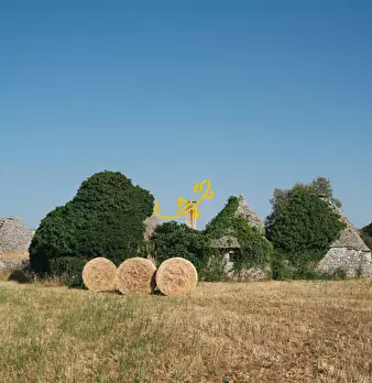 Foto annuncio 17