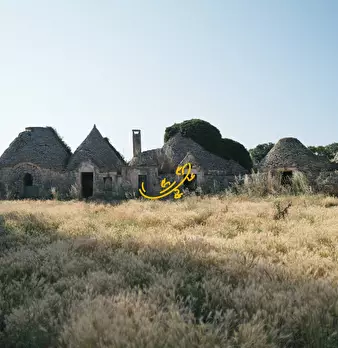 Foto annuncio 12
