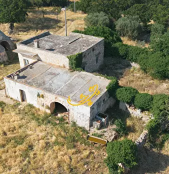 Foto annuncio 5