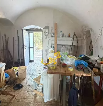Foto annuncio 13