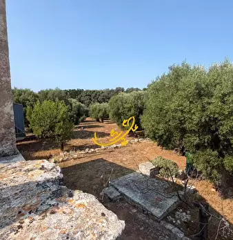 Foto annuncio 28