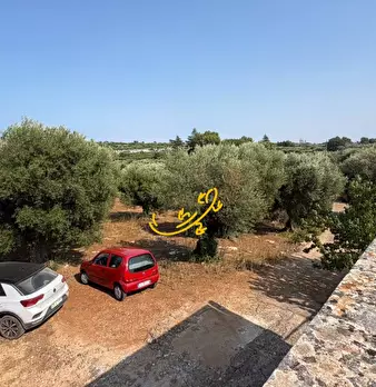 Foto annuncio 10