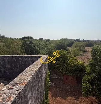 Foto annuncio 27