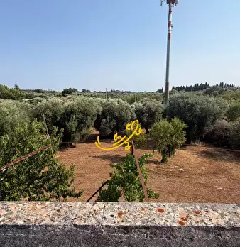 Foto annuncio 26