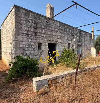 Foto annuncio 2