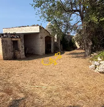 Foto annuncio 4