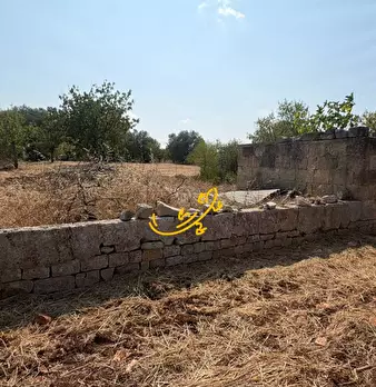 Foto annuncio 6