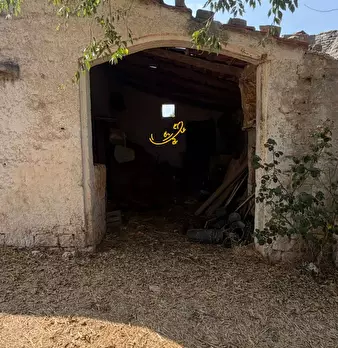 Foto annuncio 11