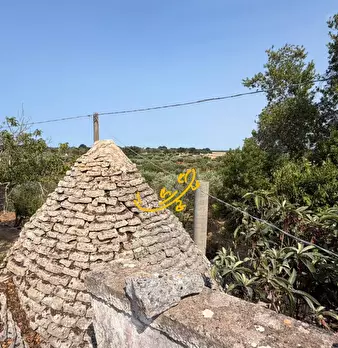 Foto annuncio 14