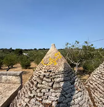 Foto annuncio 15
